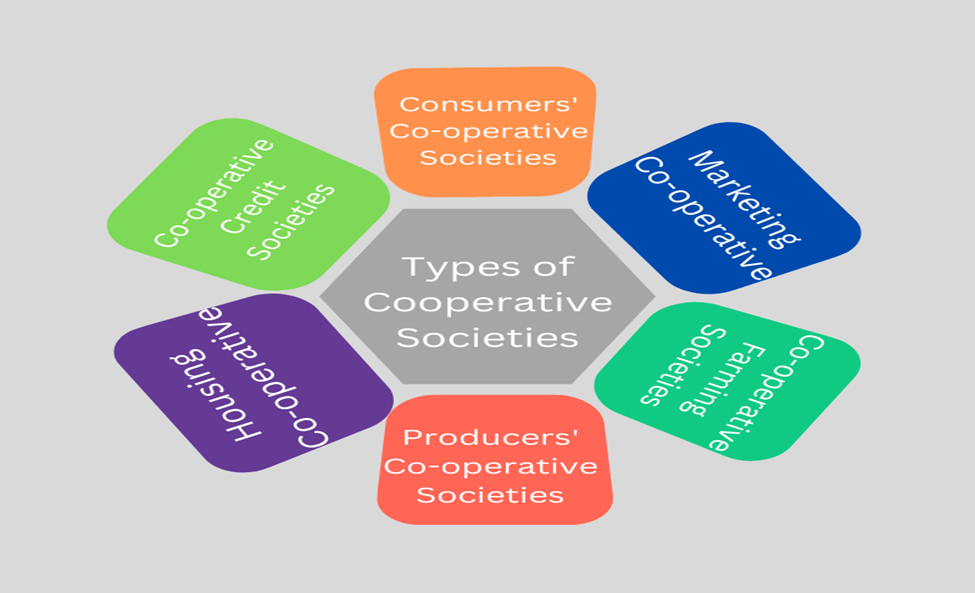 Cooperative Societies in India: What You Should Know