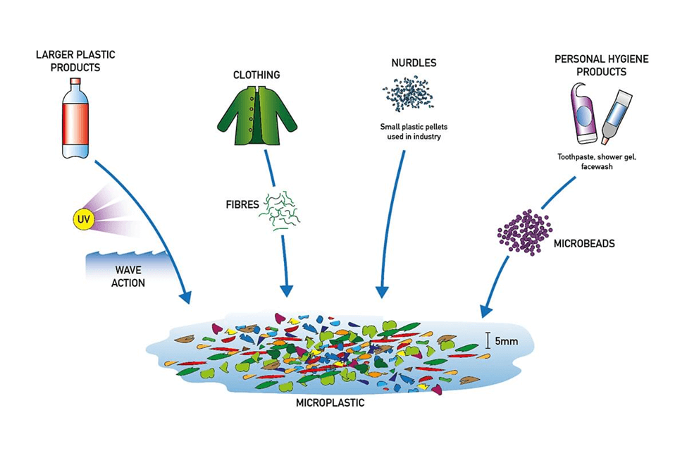 The Impact of Microplastics on the Oceans and Marine Life