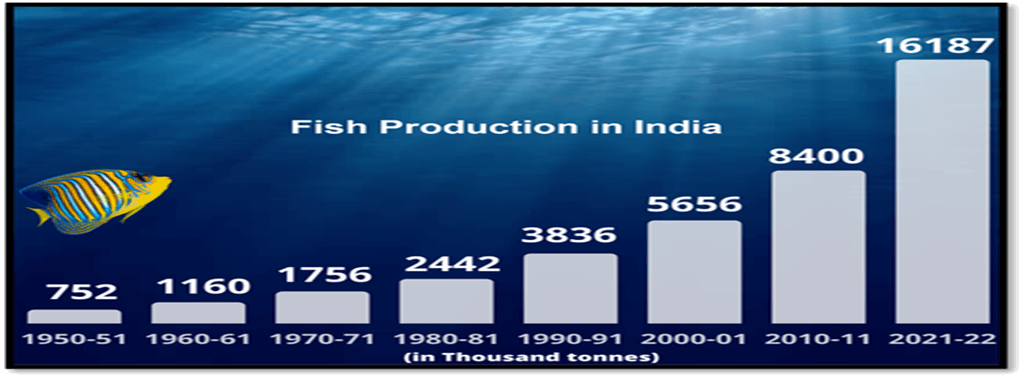 Reforming India's Fisheries Sector: What You Should Know