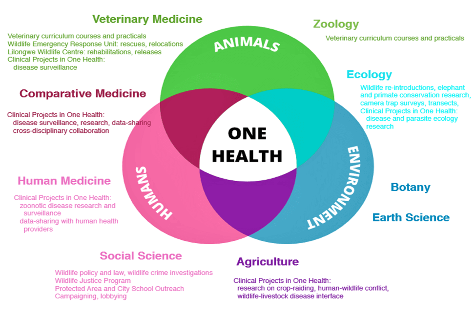 One Health Implementation in India