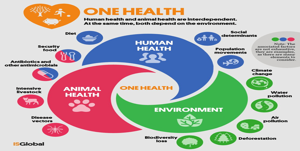 One Health Concept and its Importance: What You Should Know