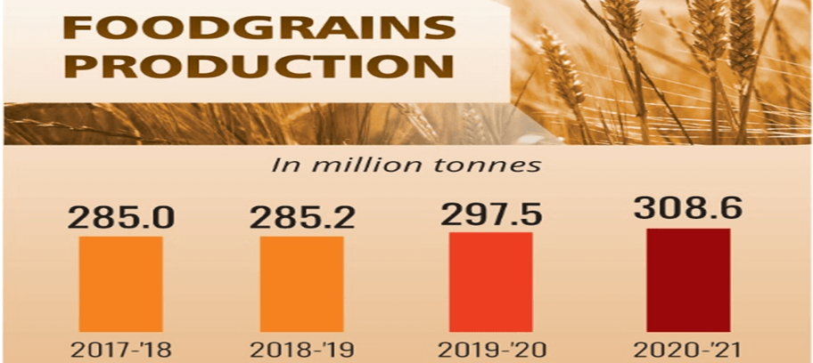 Foodgrain Procurement in India: What You Should Know