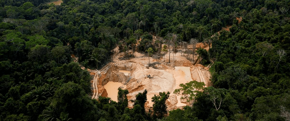 Illegal Mining in Yanomami Territory: What You Should Know