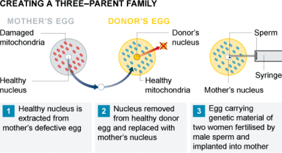 Revolutionary Three-Parent DNA Technique: What You Should Know