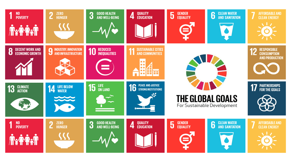 Sustainable Development Goals in India: Editorial Analysis