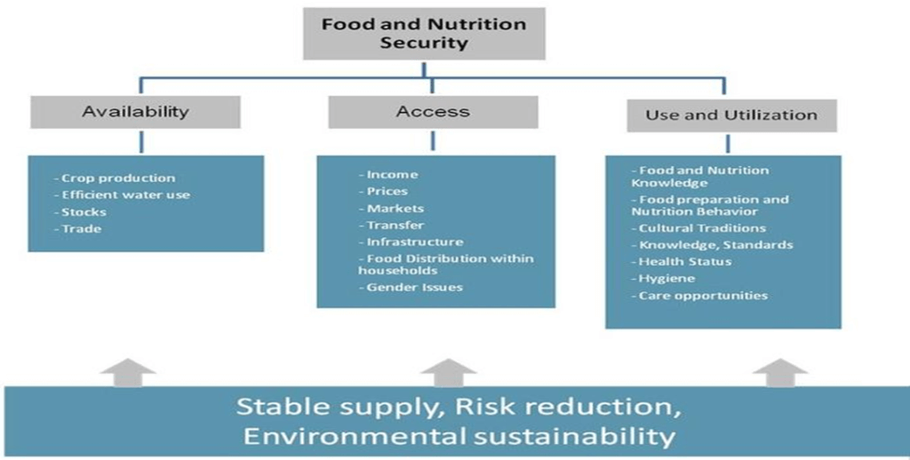 Addressing Food Insecurity and Improving Child Nutrition in India: Editorial Analysis