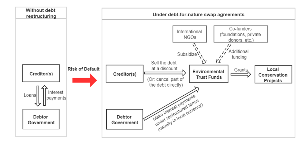 Credit Suisse's Debt-for-Nature Swap: What You Should Know