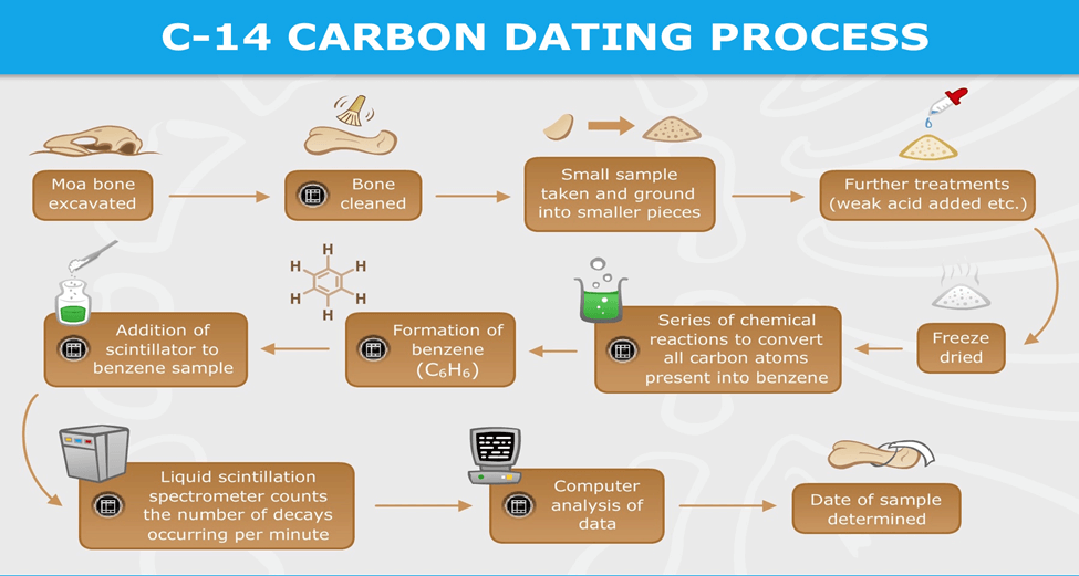 Carbon Dating and Radiometric Dating Methods: What You Should Know