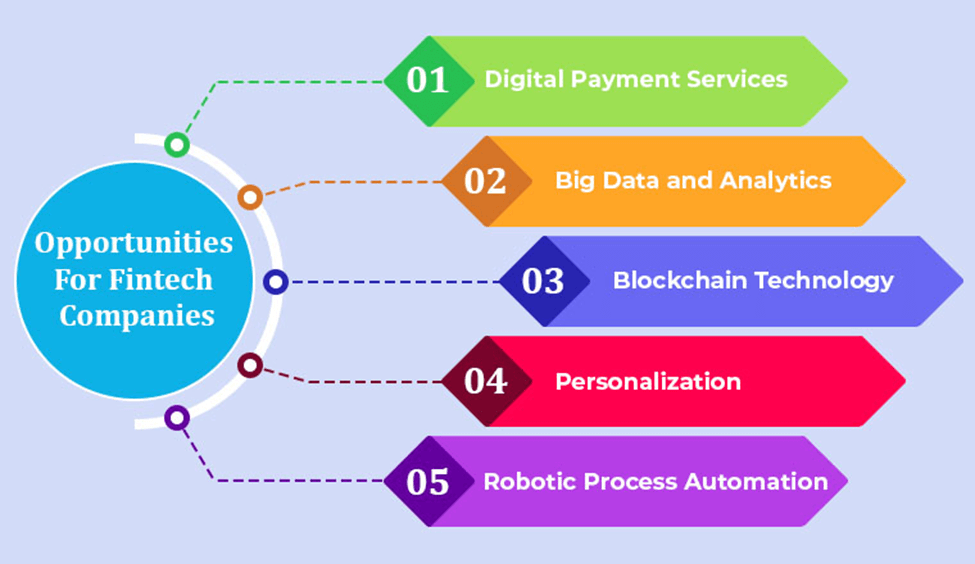 Exploring the Contrasts and Opportunities in India's Fintech Sector