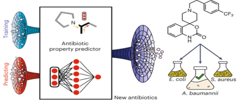 Discovering New Antibiotics to Combat Superbugs