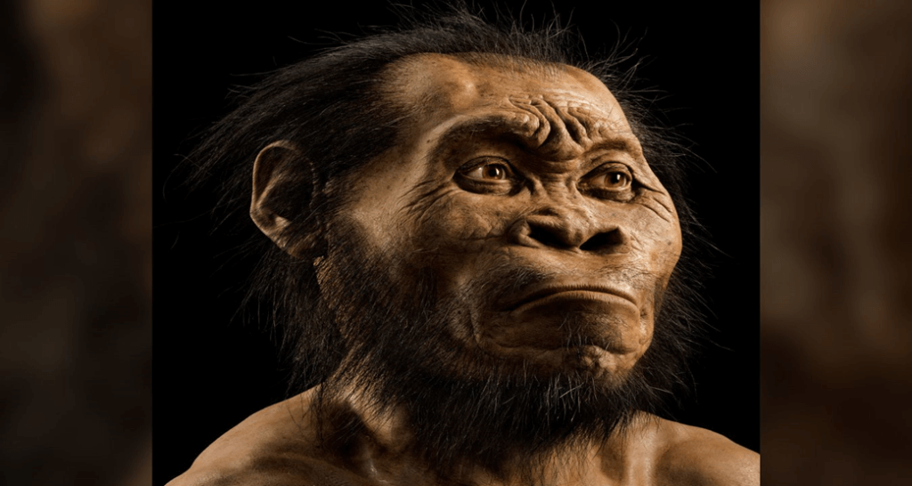 Unveiling Homo Naledi: Controversial Discoveries in the Rising Star Cave