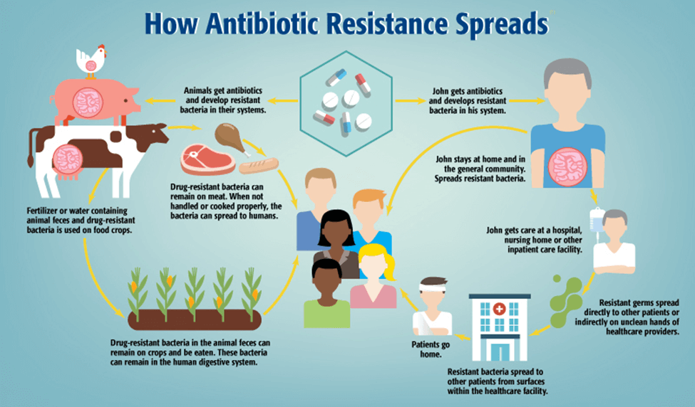 Combating Antimicrobial Resistance: Editorial Analysis