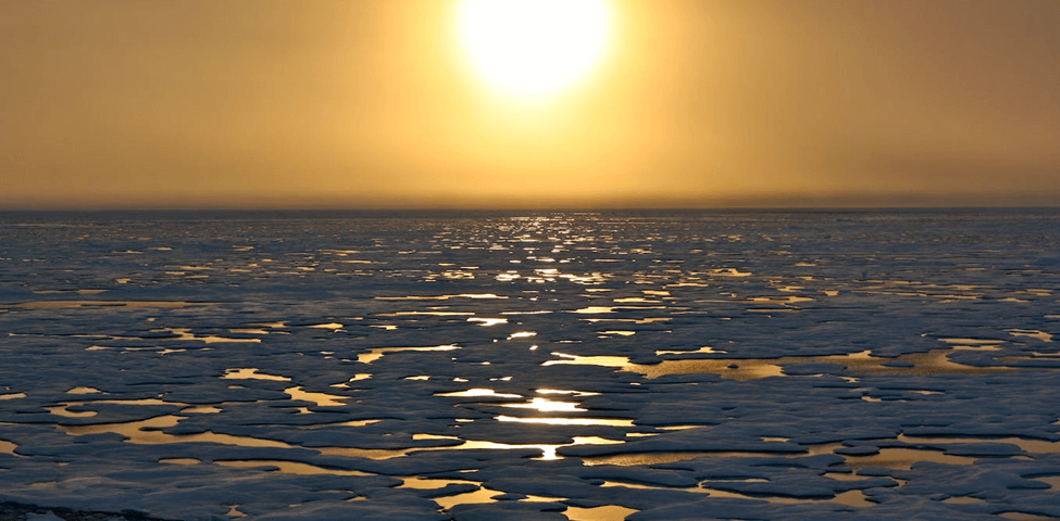 Melting Arctic: What You Should Know