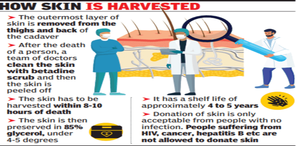 Skin Banks in India: What You Should Know