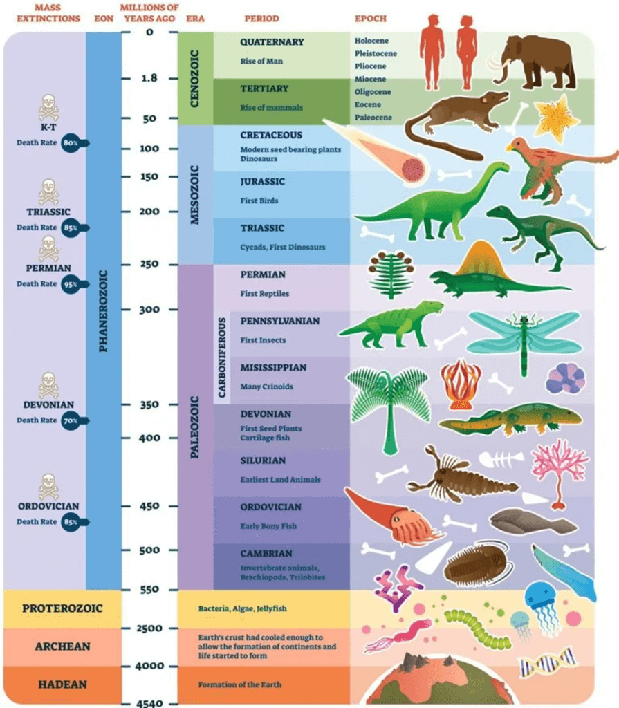 Beginning of the Anthropocene: Crawford Lake's Evidence