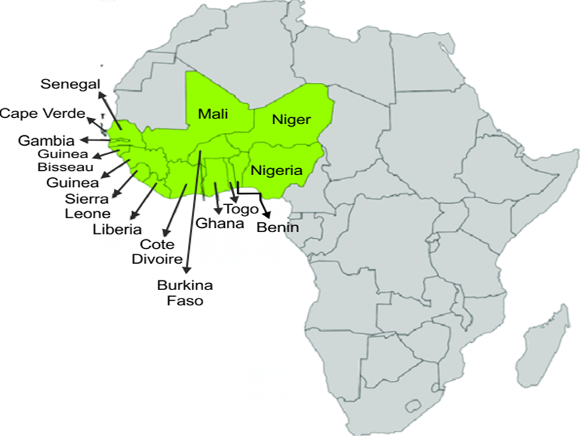 ECOWAS: Shaping Stability and Integration in the Aftermath of the Niger Coup