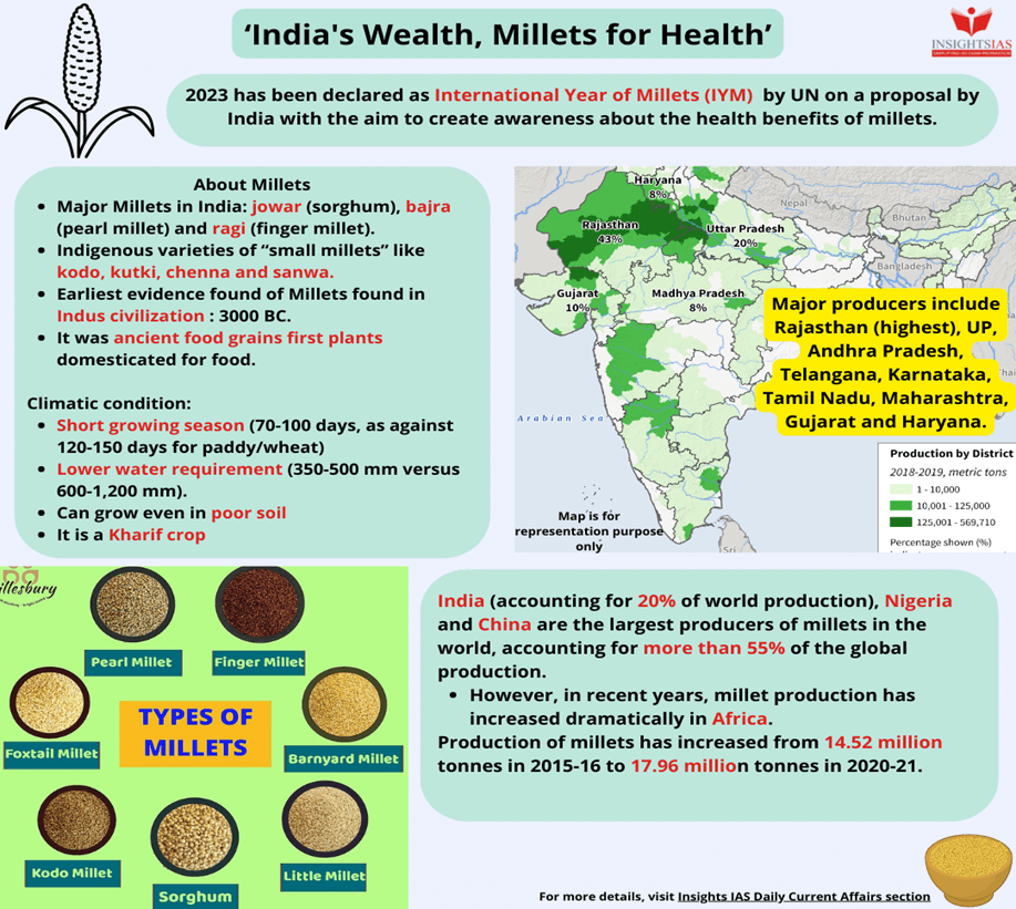 Pearl Millet's Changing Landscape in India: What You Should Know