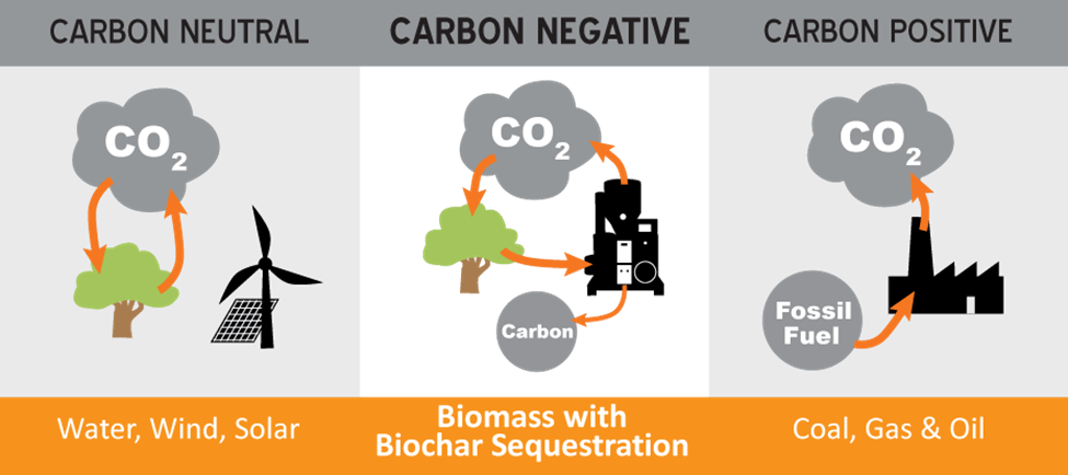 India's Climate Leadership: Pioneering Carbon Negativity at COP28: What You Should Know