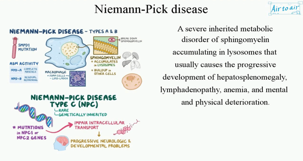 Niemann-Pick Disease and India's Rare Diseases Policy: What You Should Know