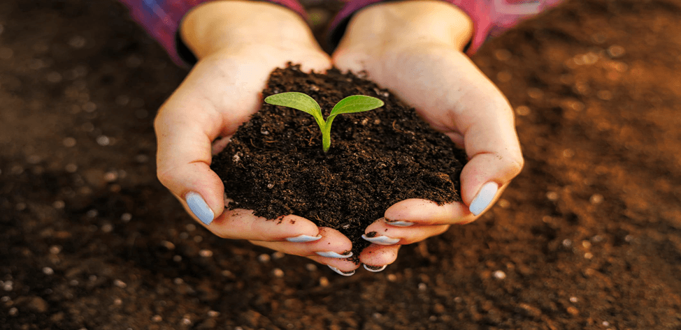 World Soil Day: Bridging Awareness and Solutions for Sustainable Agriculture