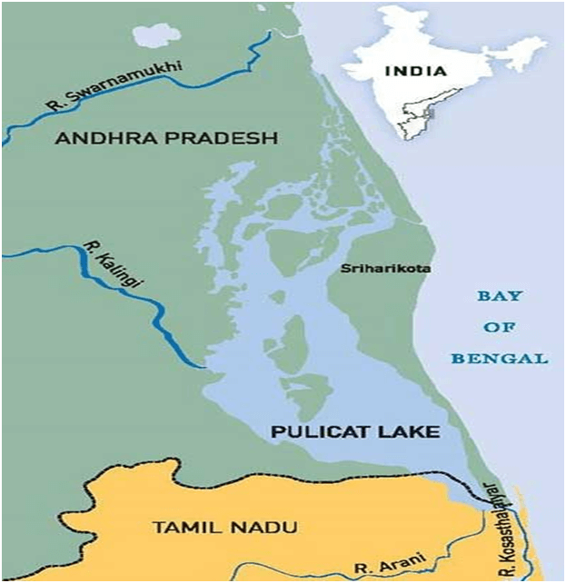 Denotification of Pulicat Bird Sanctuary: What You Should Know