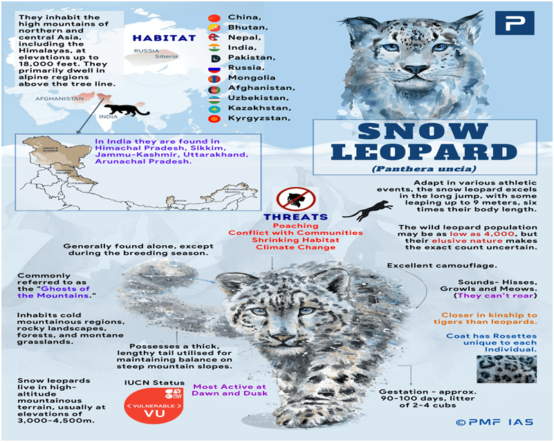 India’s First Comprehensive Snow Leopard Survey: What You Should Know