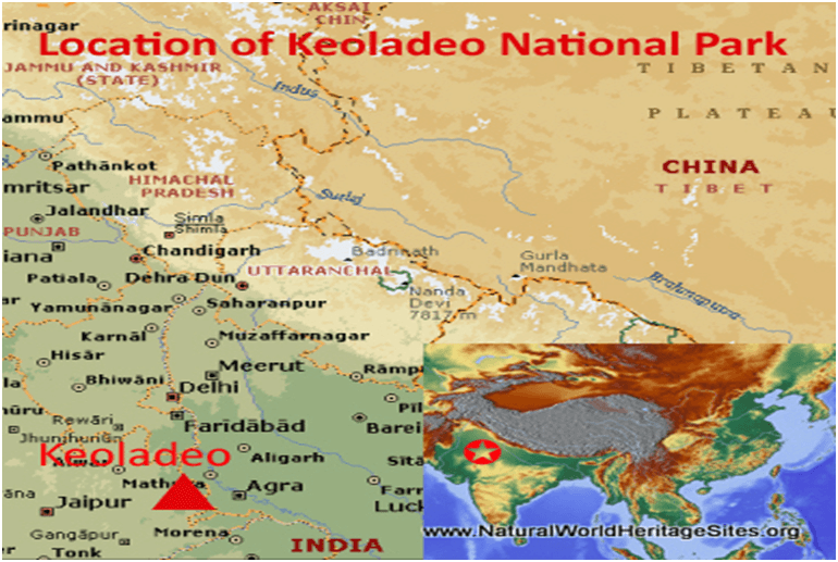 India's First 'Teal Carbon' Study at Keoladeo National Park: What You Should Know