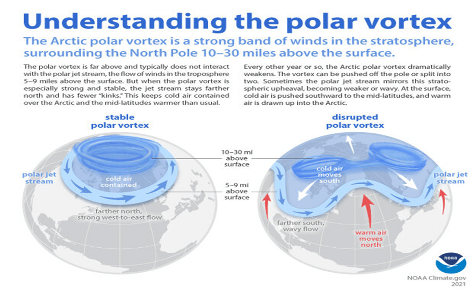 Understanding the Polar Vortex and Its Impact